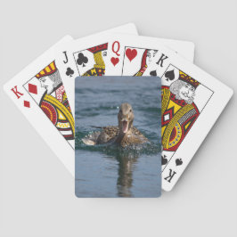 Anka med öppen näbb casinokort