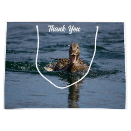 Anka med öppen topp