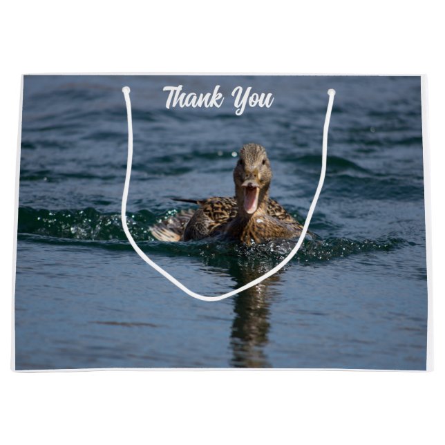 Anka med öppen topp (Framsidan)