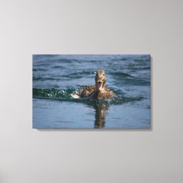 Anka med öppen topp canvastryck