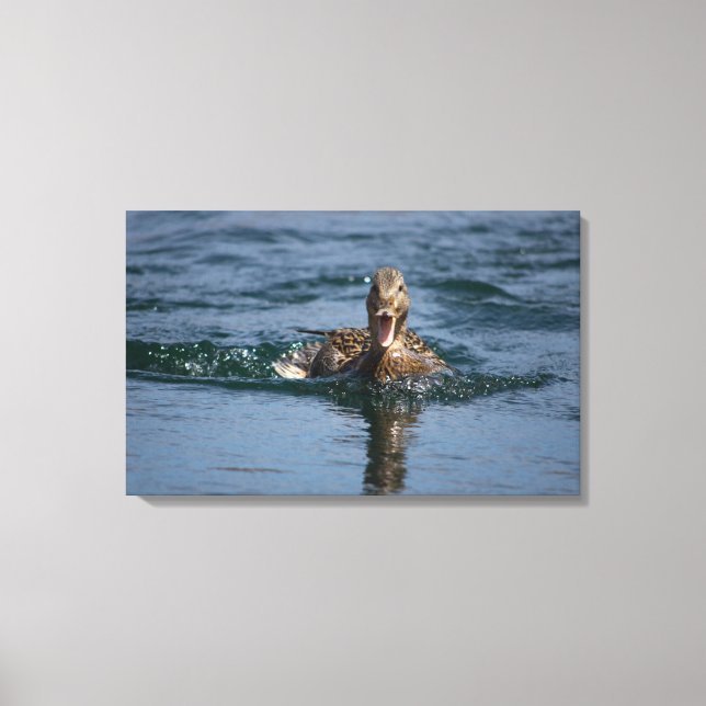 Anka med öppen topp canvastryck (Framsida)