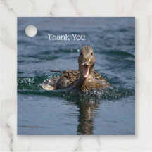 Anka med öppen topp