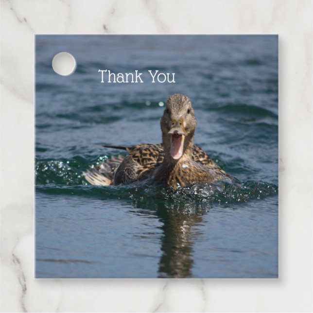 Anka med öppen topp gåvor etiketter (Framsida)