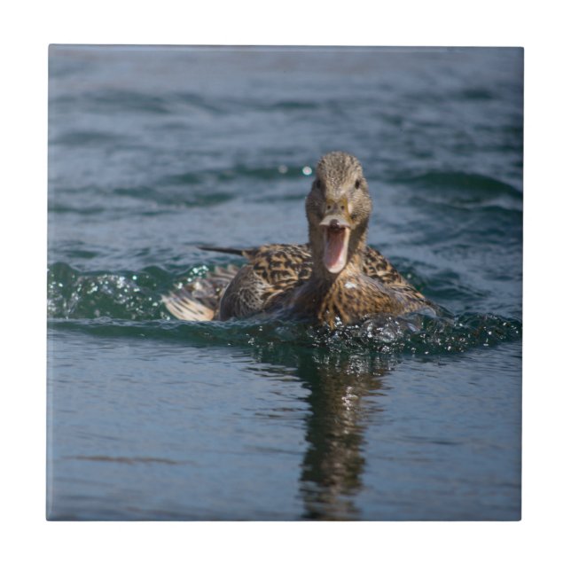 Anka med öppen topp kakelplatta (Framsidan)