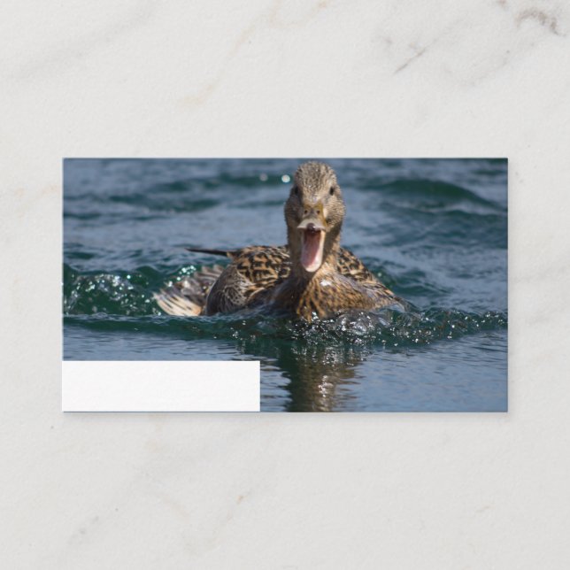 Anka med öppen topp placeringskort (Framsida)