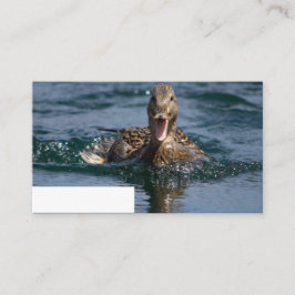 Anka med öppen topp placeringskort