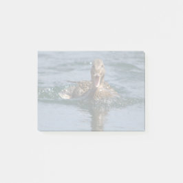 Anka med öppen topp post-it block