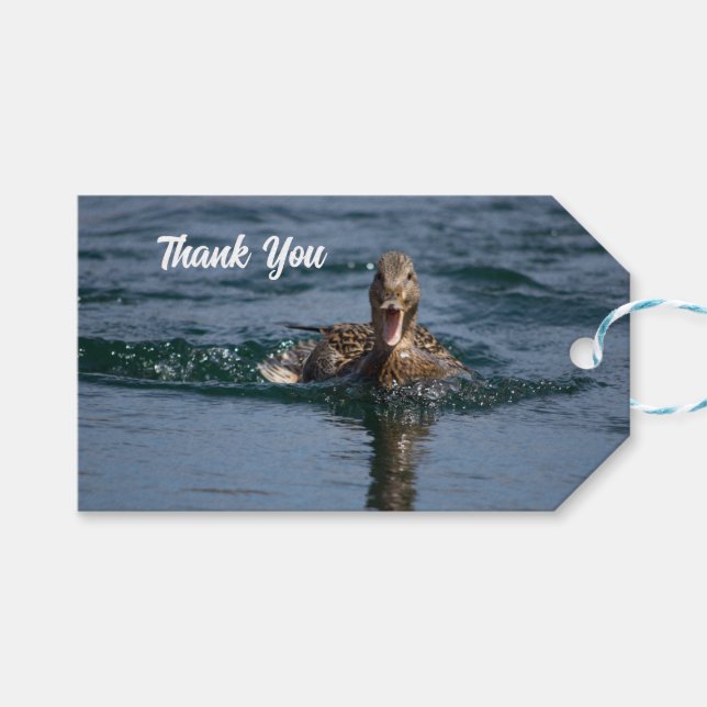 Anka med öppen topp presentetikett (Framsidan (Horisontell))