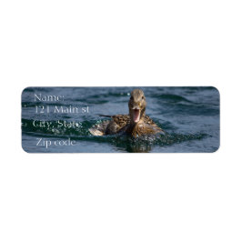 Anka med öppen topp returadress etikett