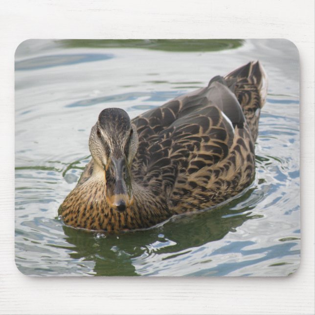Anka Mousepad Musmatta (Framsidan)