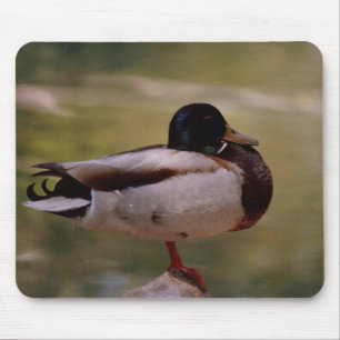 Anka Mousepad Musmatta