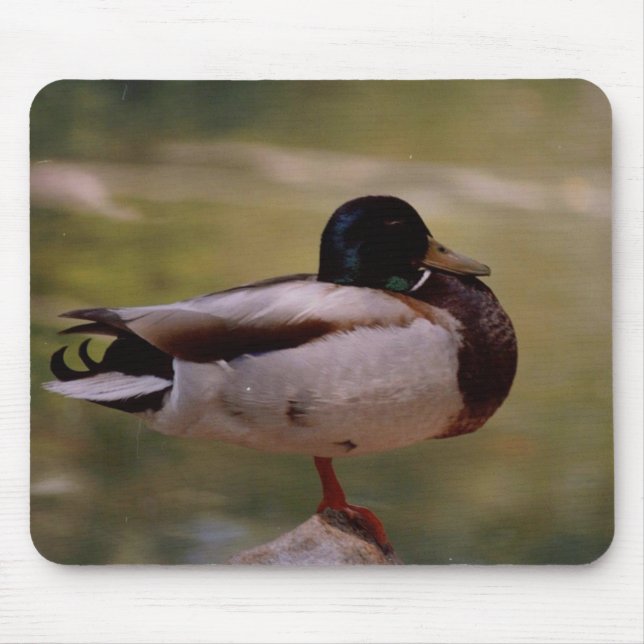 Anka Mousepad Musmatta (Framsidan)