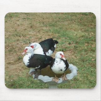 Anka Mousepad Musmatta