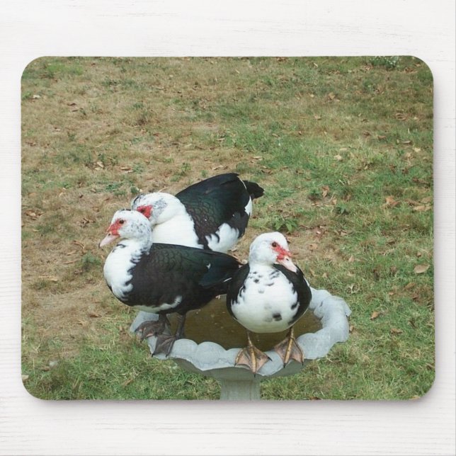 Anka Mousepad Musmatta (Framsidan)