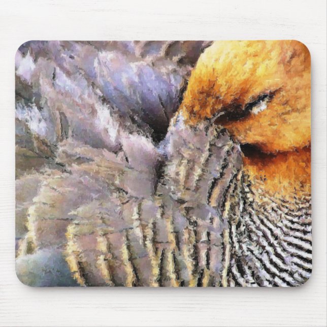 ANKA MUSMATTA (Framsidan)