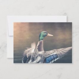 Anka-naturfotokort