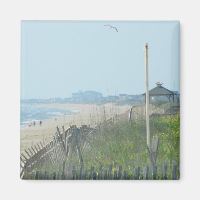 Anka North Carolina Kusten Magnet (Framsidan)