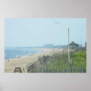 Anka North Carolina Kusten Poster