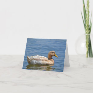 Anka Notecard Kort