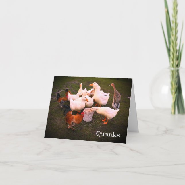 Anka och Chickens Eating Funny Tack Kort (Framsida)