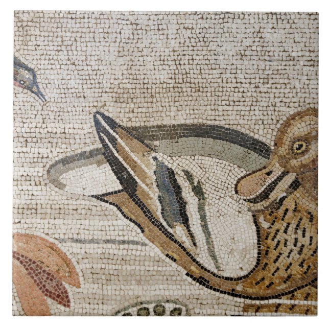 Anka och fågel, Nile mosaik, hus av faunen Kakelplatta (Framsidan)