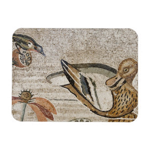 Anka och fågel, Nile mosaik, hus av faunen Magnet