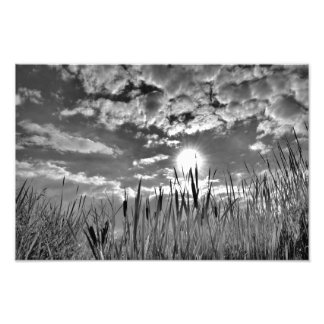 Anka Öga View Fototryck