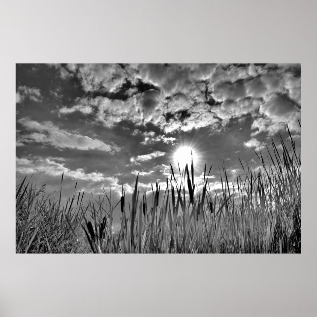 Anka Öga View Poster (Framsidan)