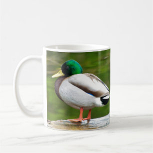 Anka på en sten kaffemugg