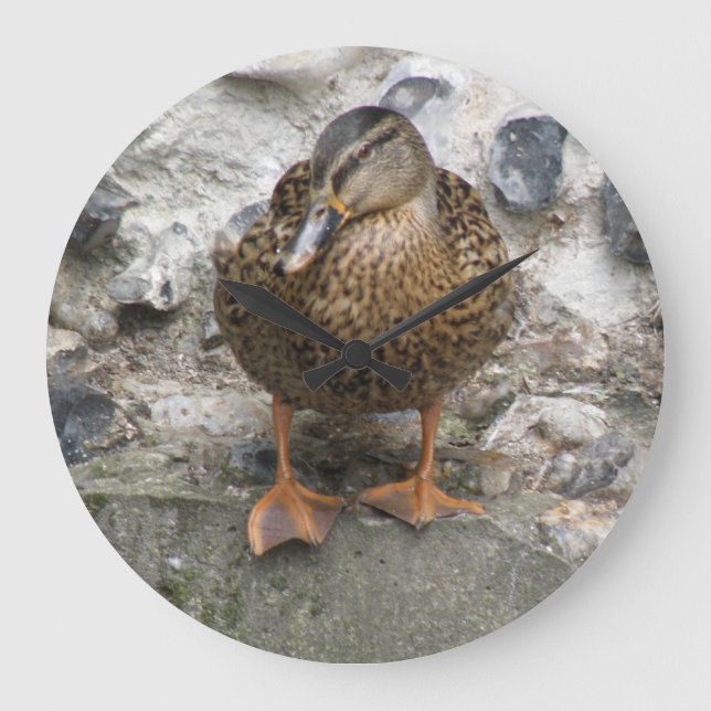 Anka på en väggklocka (Framsida)