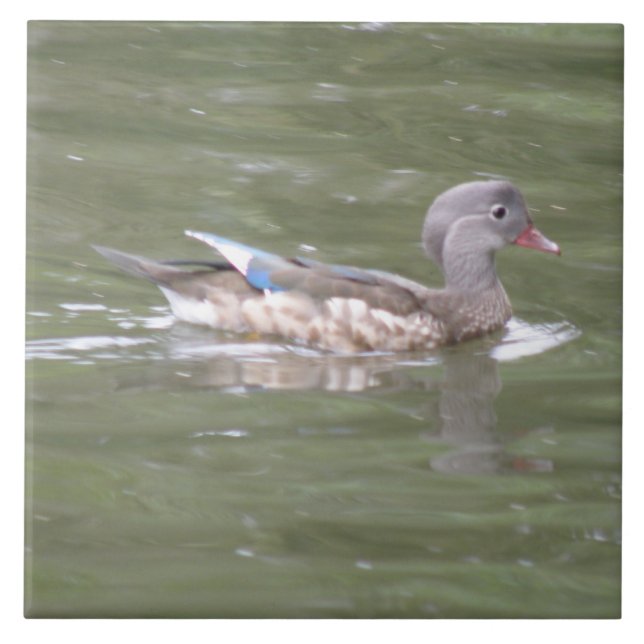 Anka på Sjö-plattan Kakelplatta (Framsidan)