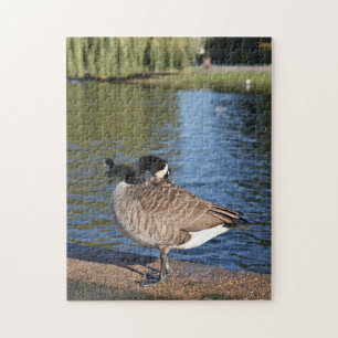 Anka på Vatten fågelfotografi Pussel