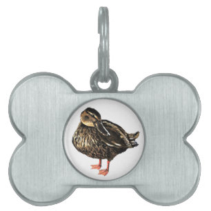 Anka Pet-tagg ID-bricka Husdjur