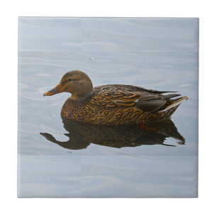 Anka Photo Ceramic Tile Kakelplatta