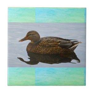 Anka Photo Ceramic Tile Kakelplatta