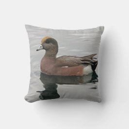 Anka Photo Sjö Bird Wigeon Blue Brown Lugn Vatten Kudde