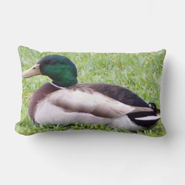 Anka Pillow Lumbarkudde (Framsida)