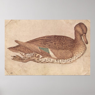 Anka-Pisanello-c1440 Poster