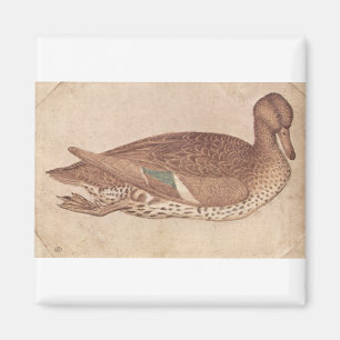 Anka - Pisanello Magnet
