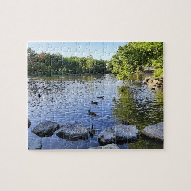 Anka Pond Pussel (Horisontell)