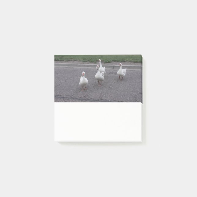 Anka Post it Notes Post-it Block (Framsida)