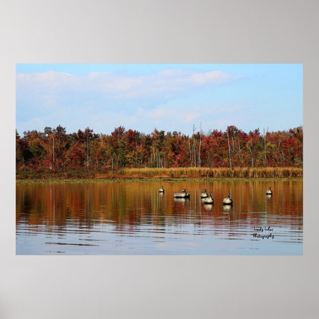 Anka Poster (Framsidan)