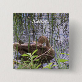 Anka Preening i Reeds Knapp