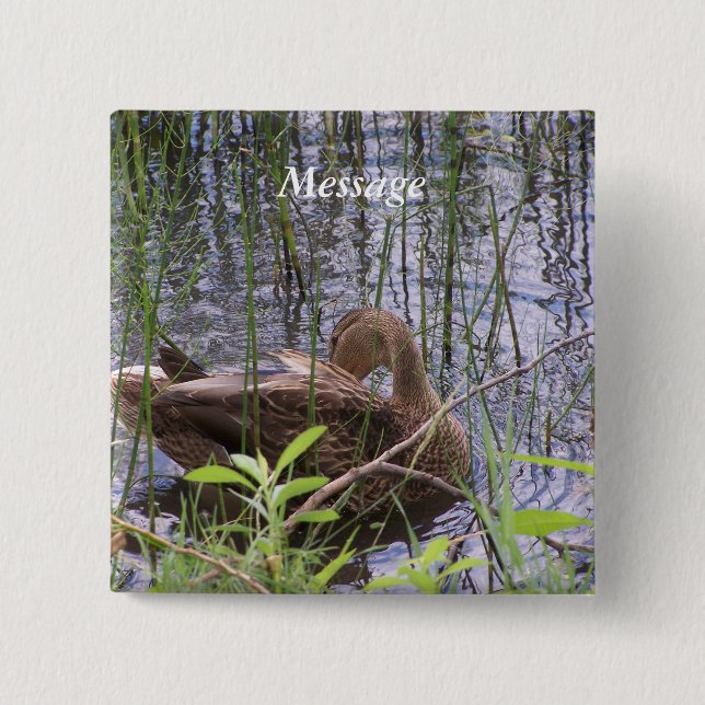 Anka Preening i Reeds Knapp (Framsida)