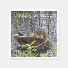 Anka Preening i Reeds Pappersservett