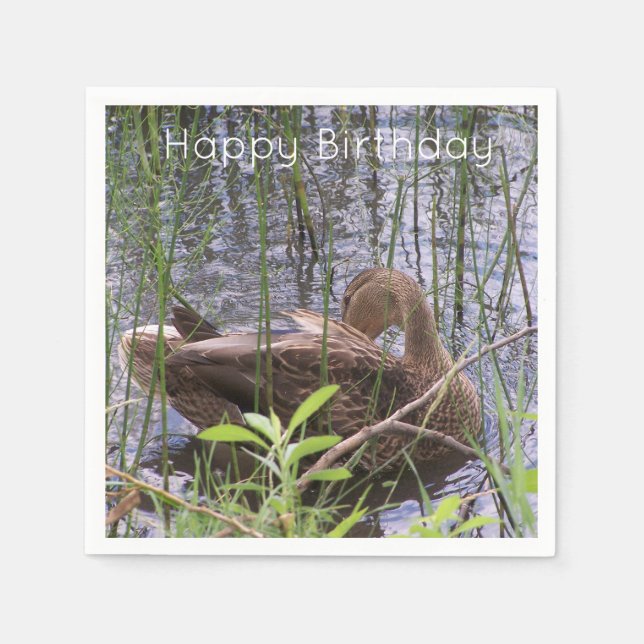 Anka Preening i Reeds Pappersservett (Framsidan)