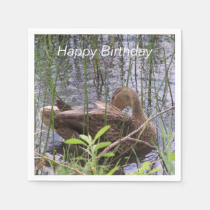 Anka Preening i Reeds Pappersservett