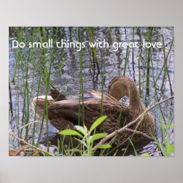 Anka Preening i Reeds Poster