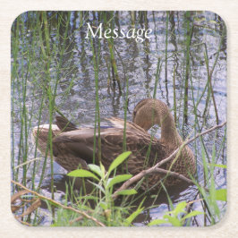 Anka Preening i Reeds Underlägg Papper Kvadrat