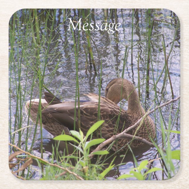 Anka Preening i Reeds Underlägg Papper Kvadrat (Framsidan)